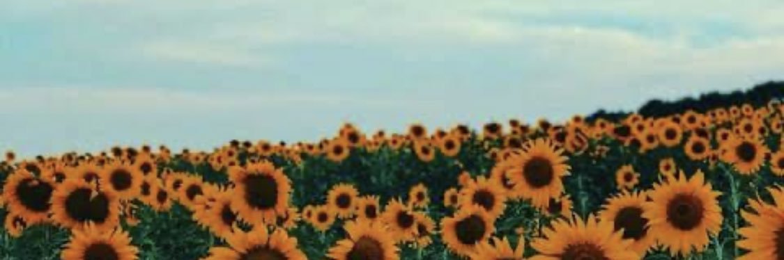 _rubi3_'s profile banner image