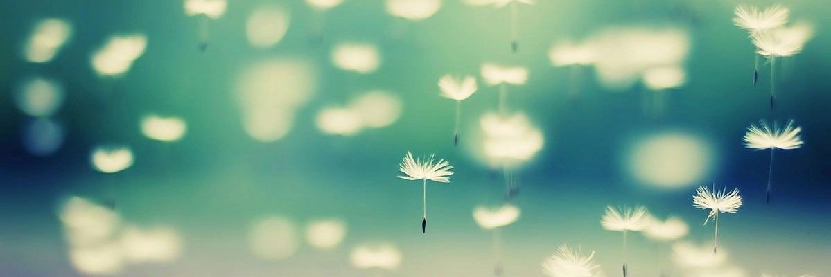 Rachel_Sinfield's profile banner image