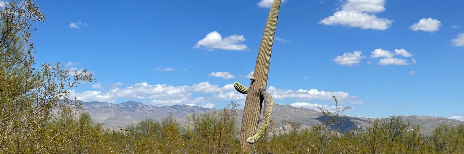 Amanda Holpuch banner