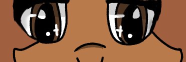 Stormy Lokicks banner