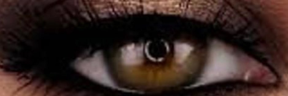 @eli2switzerland banner