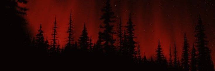 𝓡𝐎𝐒𝐀𝐋𝐈𝐄 𝓛𝐈𝐋𝐈𝐀𝐍 𝓗𝐀𝐋𝐄 banner