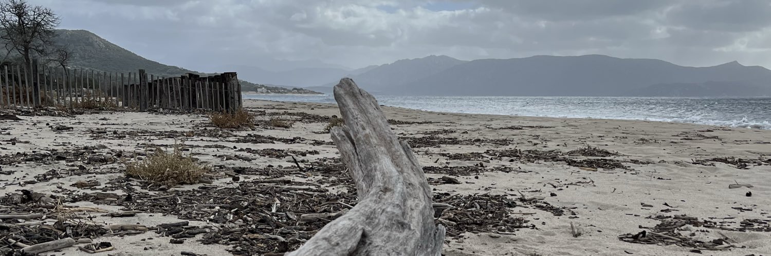 Pup_Limbo banner
