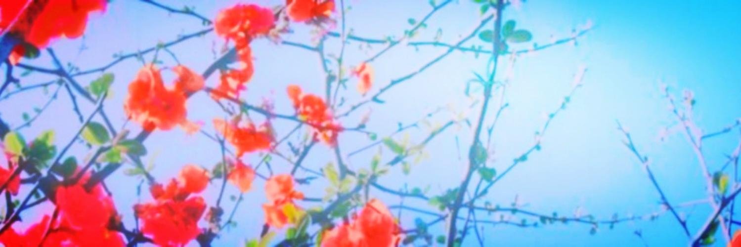 Oksenemy's profile banner image