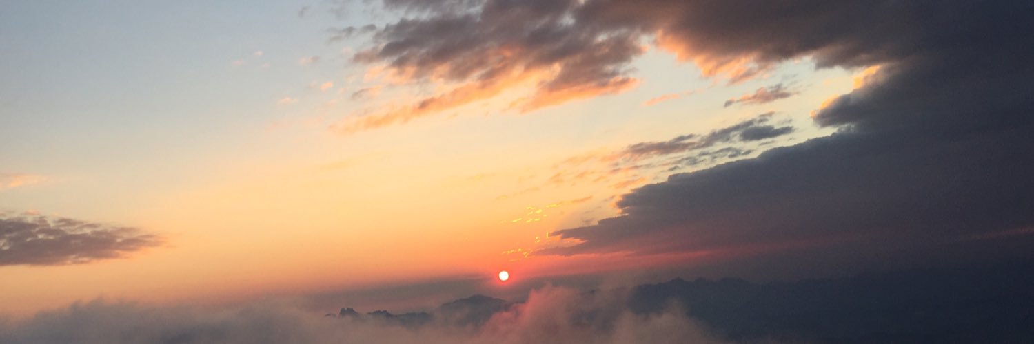 Felipe Fanuel banner