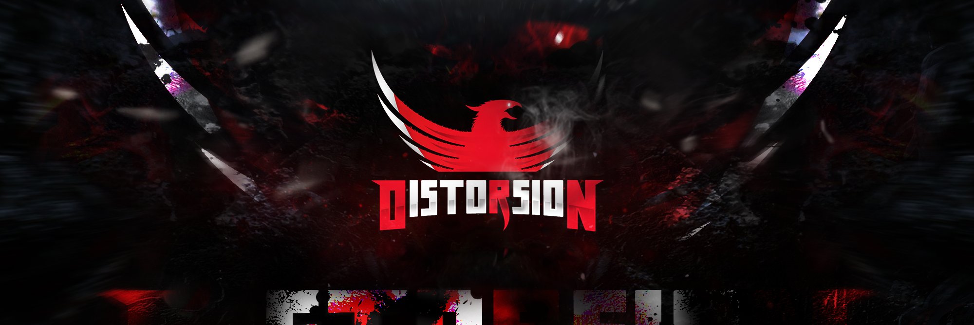 DistorsionFR's profile banner image