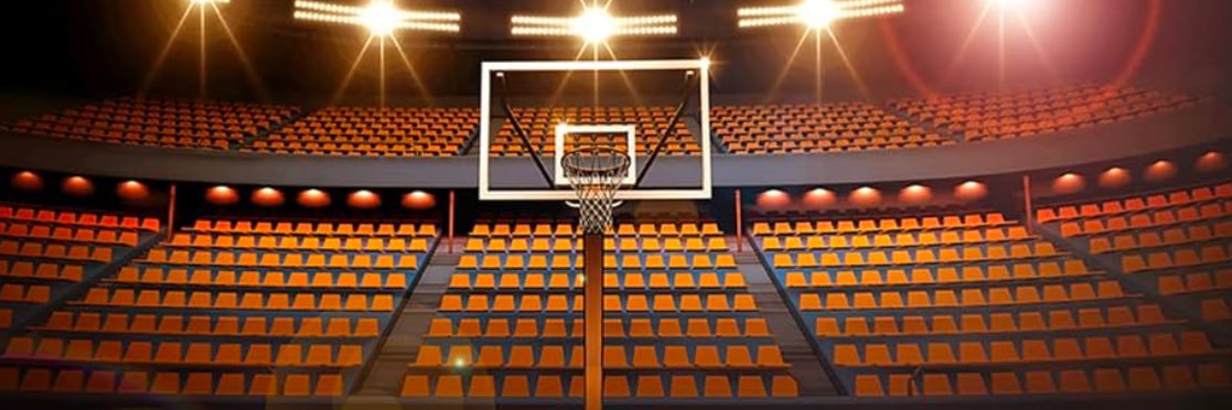 Laila Morgan |lailamorganbball@gmail.com banner