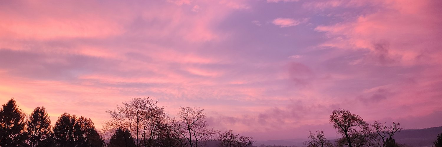 MatthewTheToxic's profile banner image
