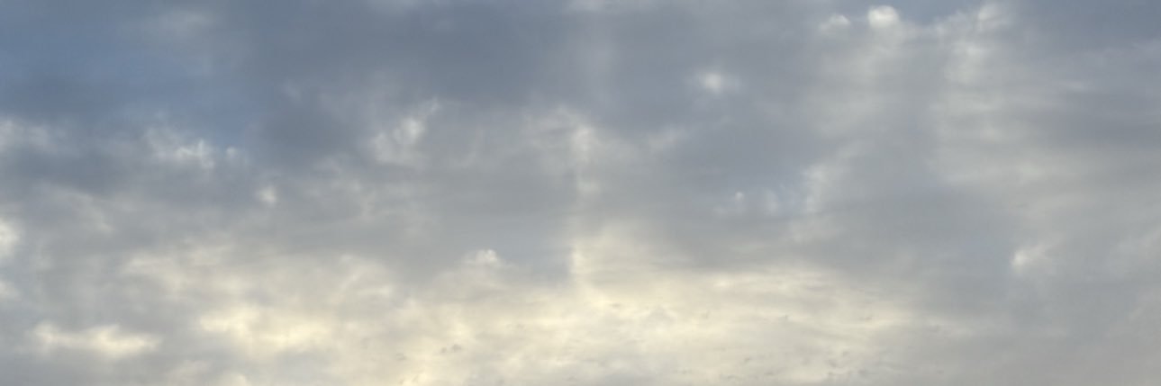 g banner