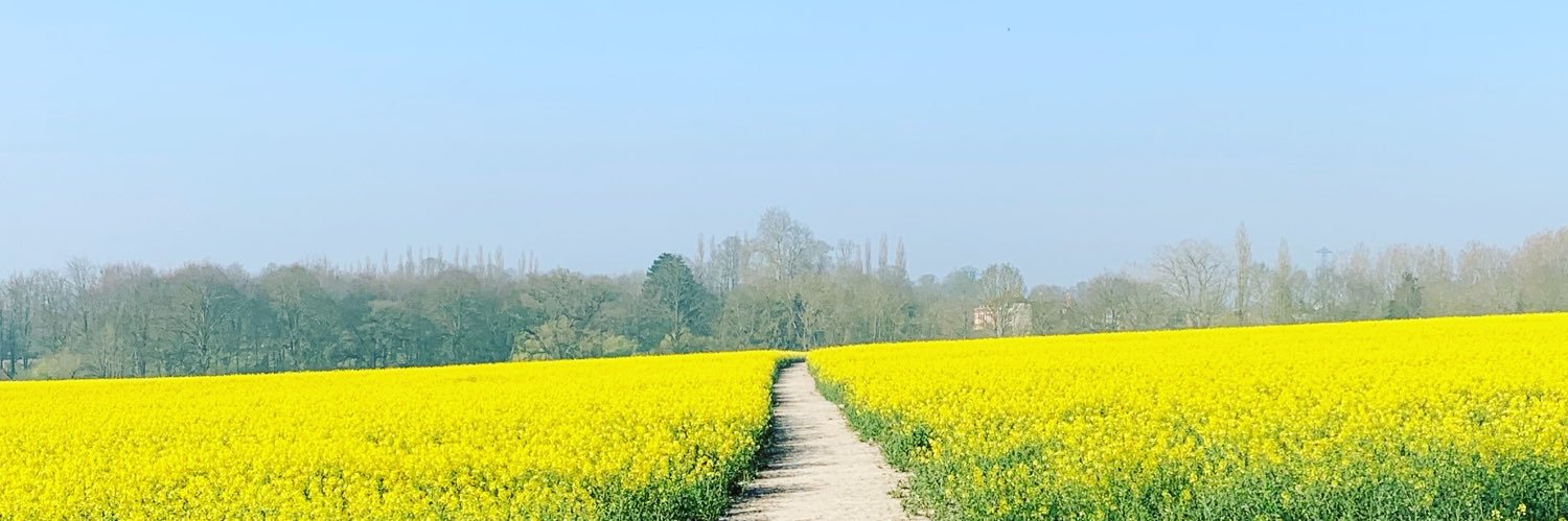 lulucronk's profile banner image