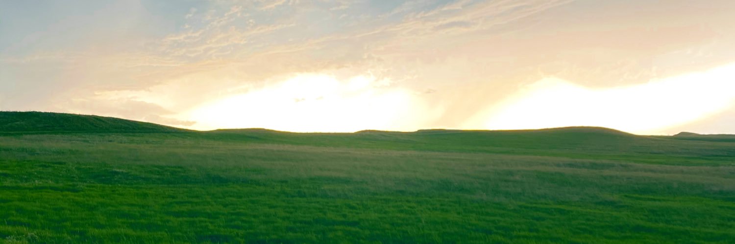 dvdltmr's profile banner image