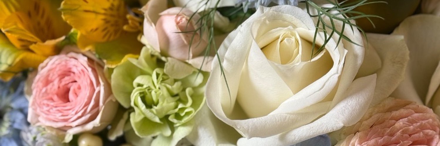 sui_violet_'s profile banner image