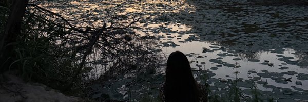 shahneelgill Profile Banner