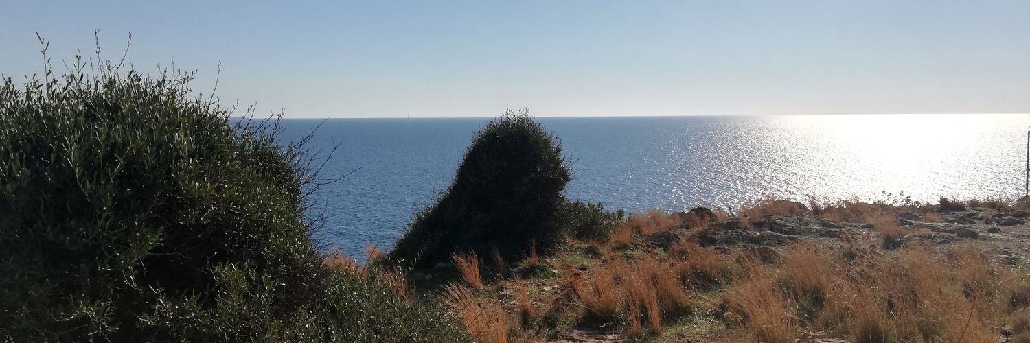 raciops's profile banner image