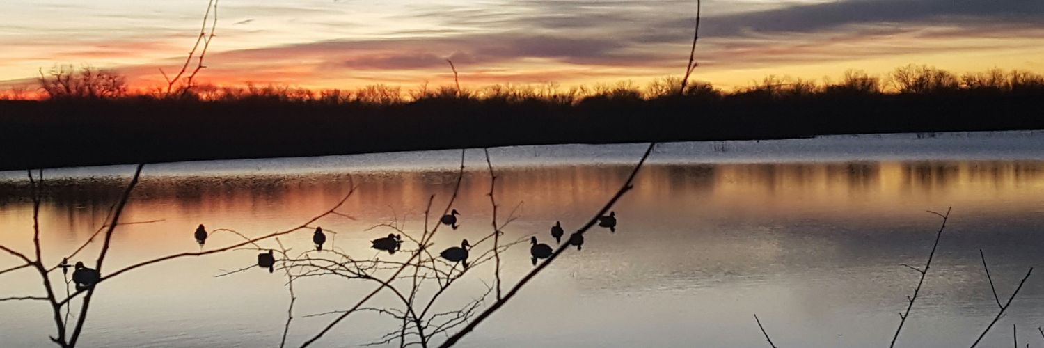 TXPalerider's profile banner image