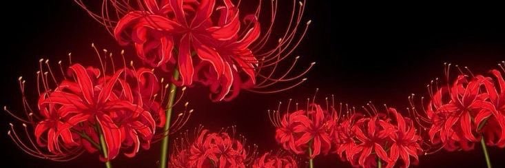 Deyaikko's profile banner image