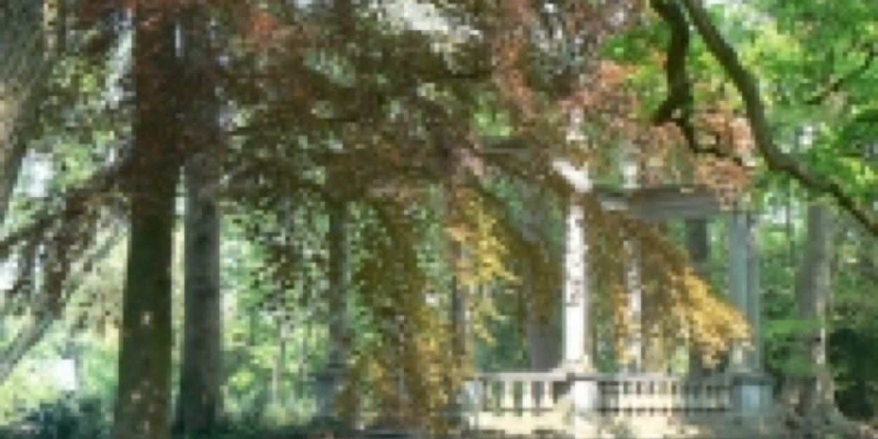 Renebrn's profile banner image