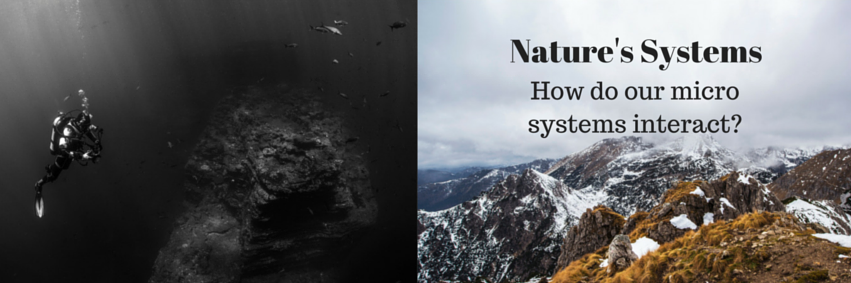 SystemsThinking's profile banner image