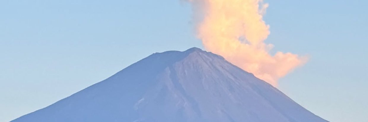 stupid people everywhere banner