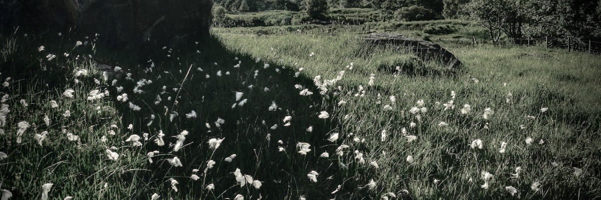 _d7y_'s profile banner image