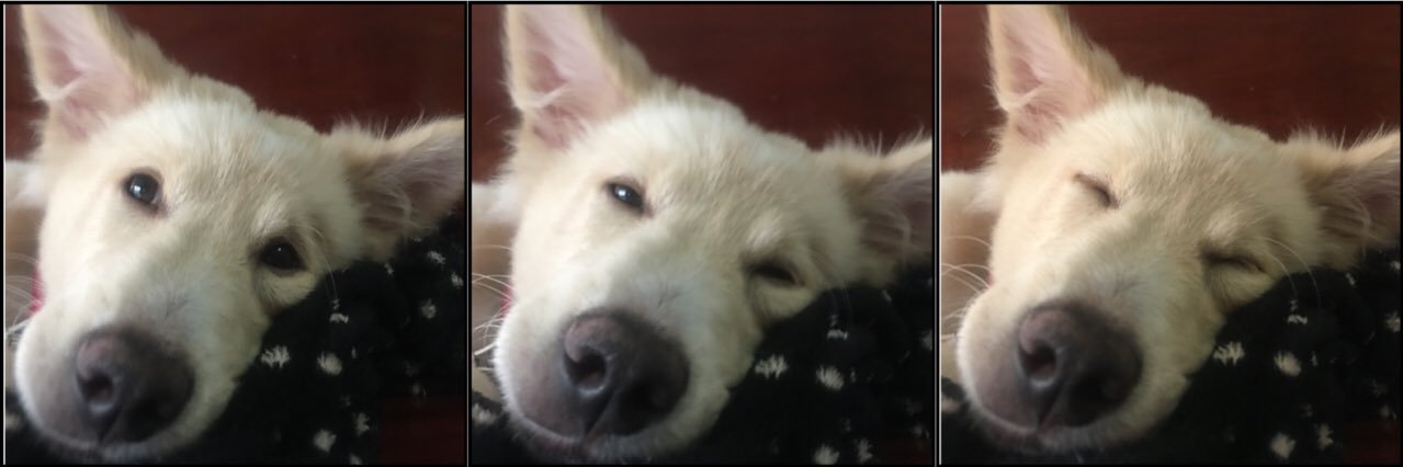 Mizz_Mayzaa's profile banner image