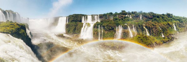 dr_eleanor_gee Profile Banner