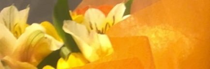 みゆう banner