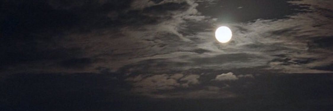 55il5's profile banner image
