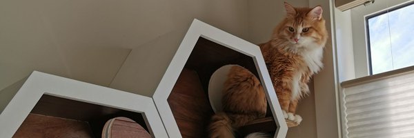 chopstickboy_og Profile Banner