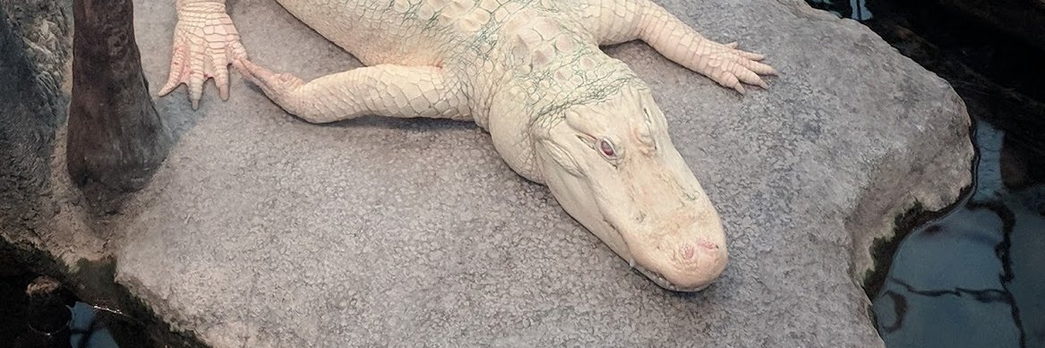 Knuckles Damone banner