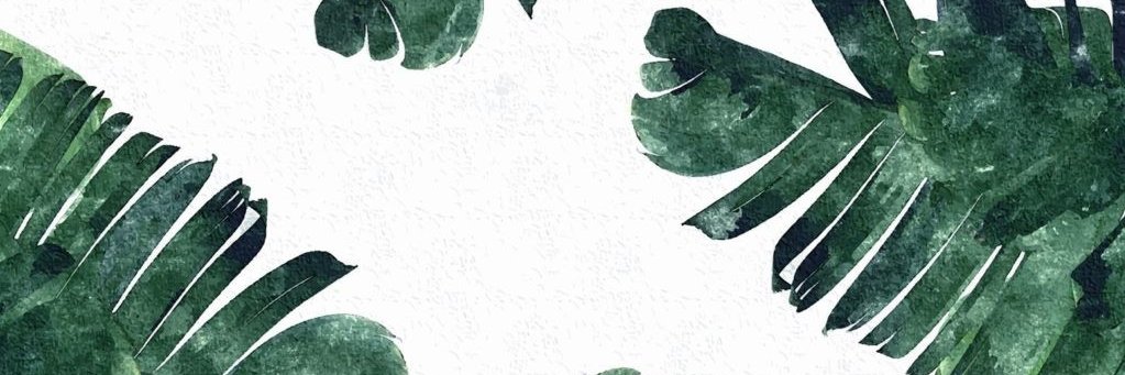rahmaast's profile banner image