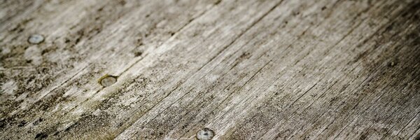 RelicsOfWitney Profile Banner