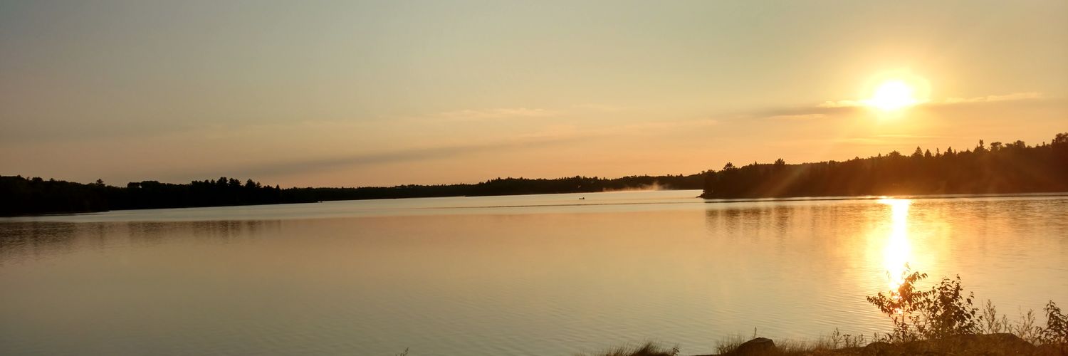 carlosquerol's profile banner image