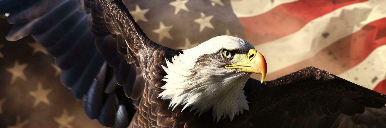 Tim_Cool's profile banner image