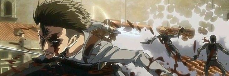 Small Ackerman banner