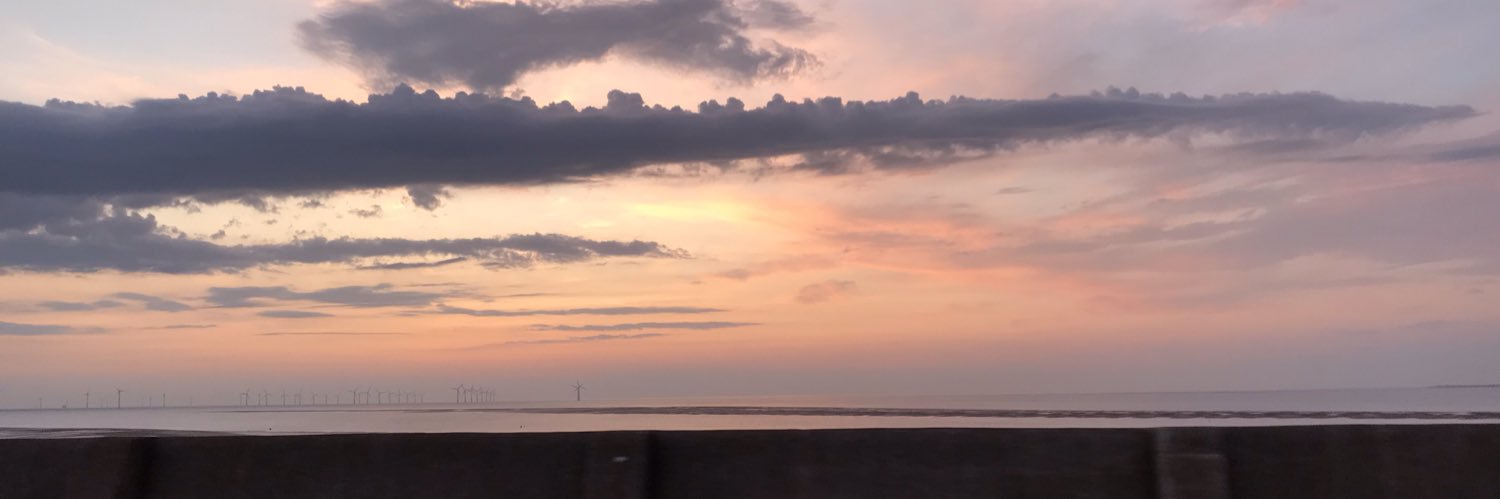 Nicky Billington banner