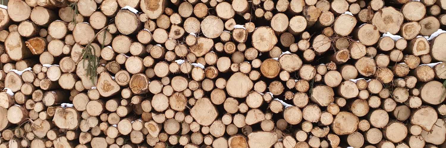 Der Erzgebirger in der Lausitz📯 banner