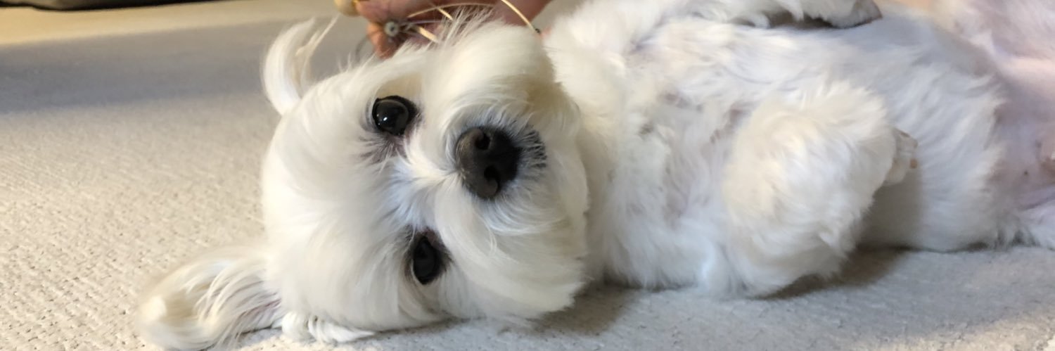 beaconeater's profile banner image