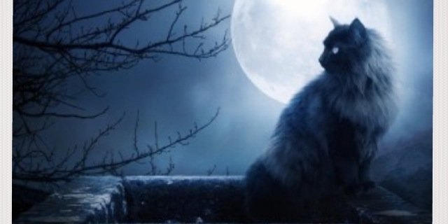 Reming355's profile banner image