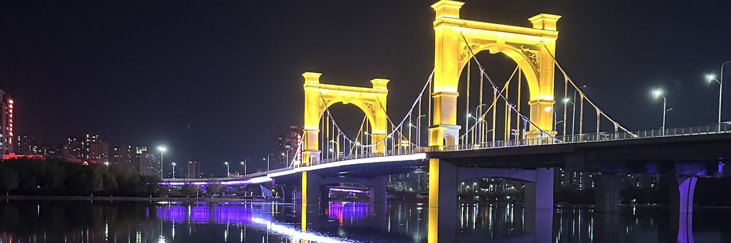 东北雨姐 banner