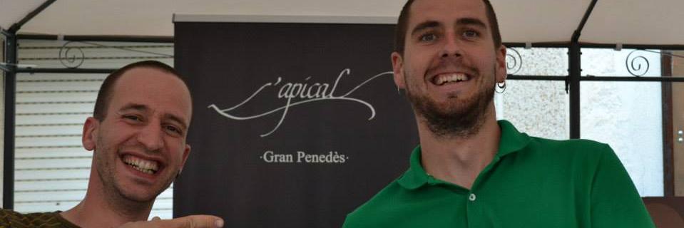 vins L'Apical banner