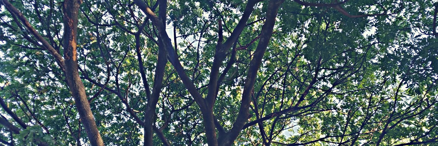 ar_anvi's profile banner image
