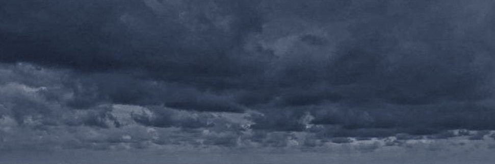len banner