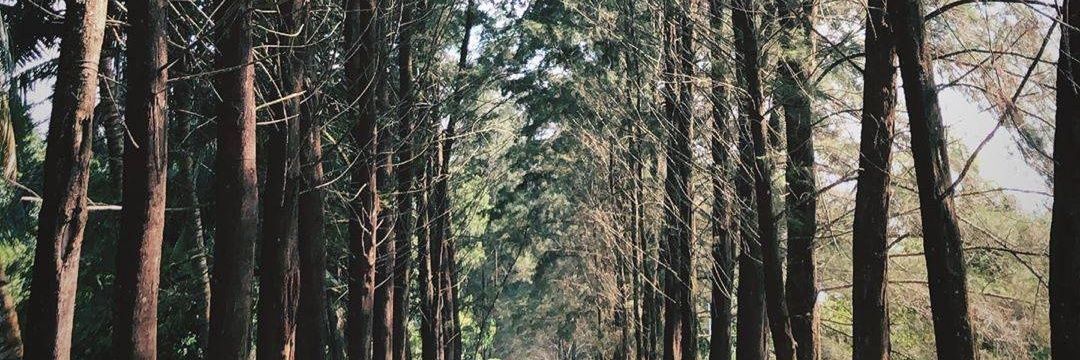 kagilsa's profile banner image