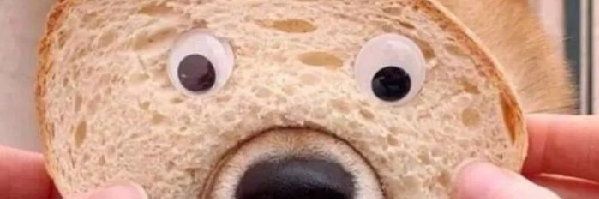 yacagou's profile banner image