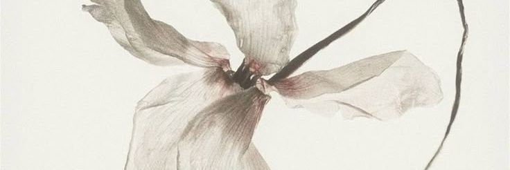 𝒥's banner
