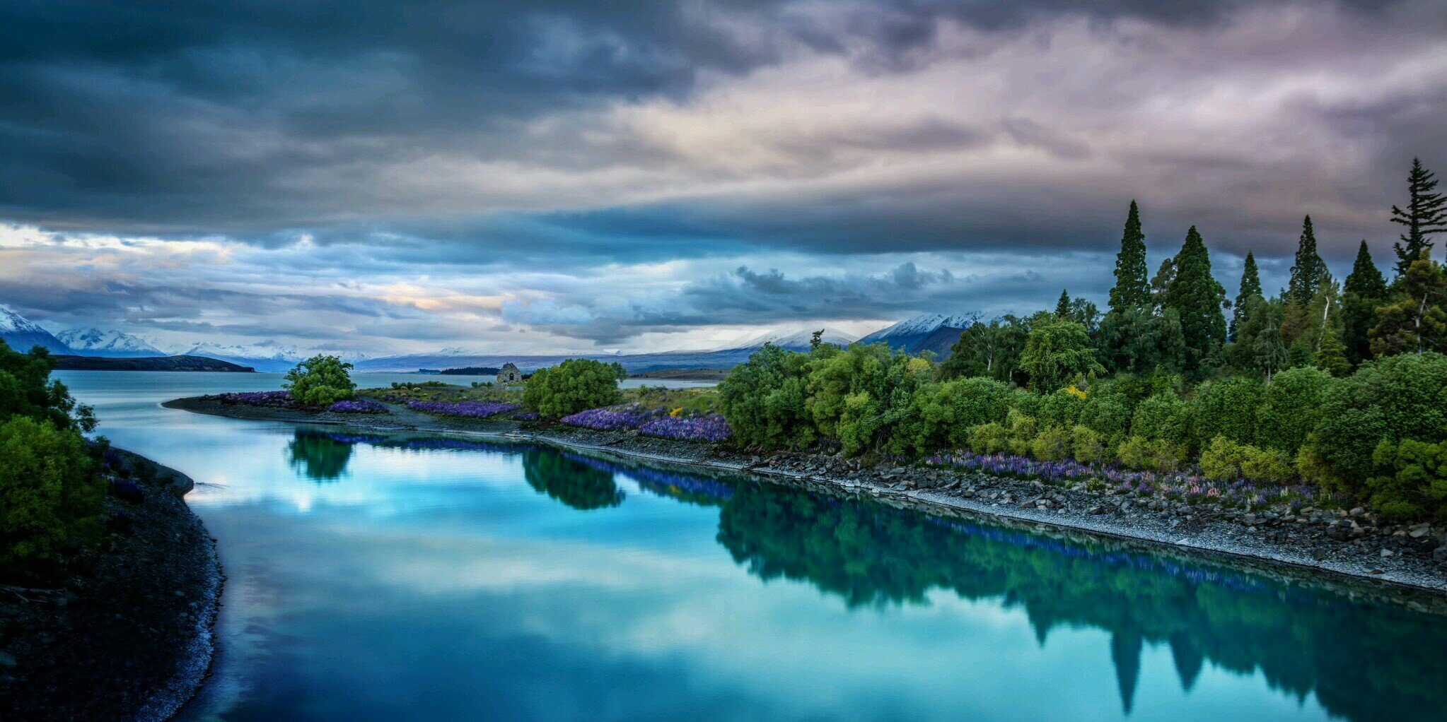 patrick Bryan banner