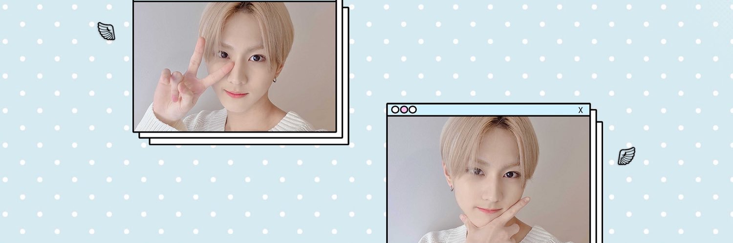 🐈🐾 banner