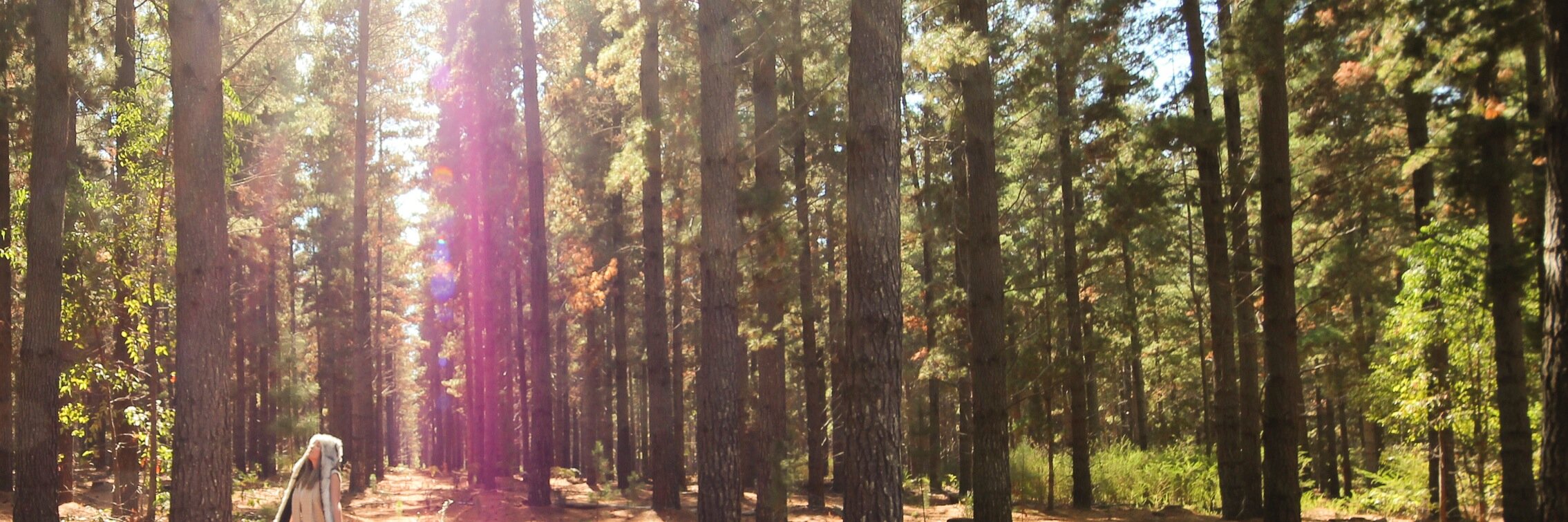 ZoeyMarieShotMe's profile banner image