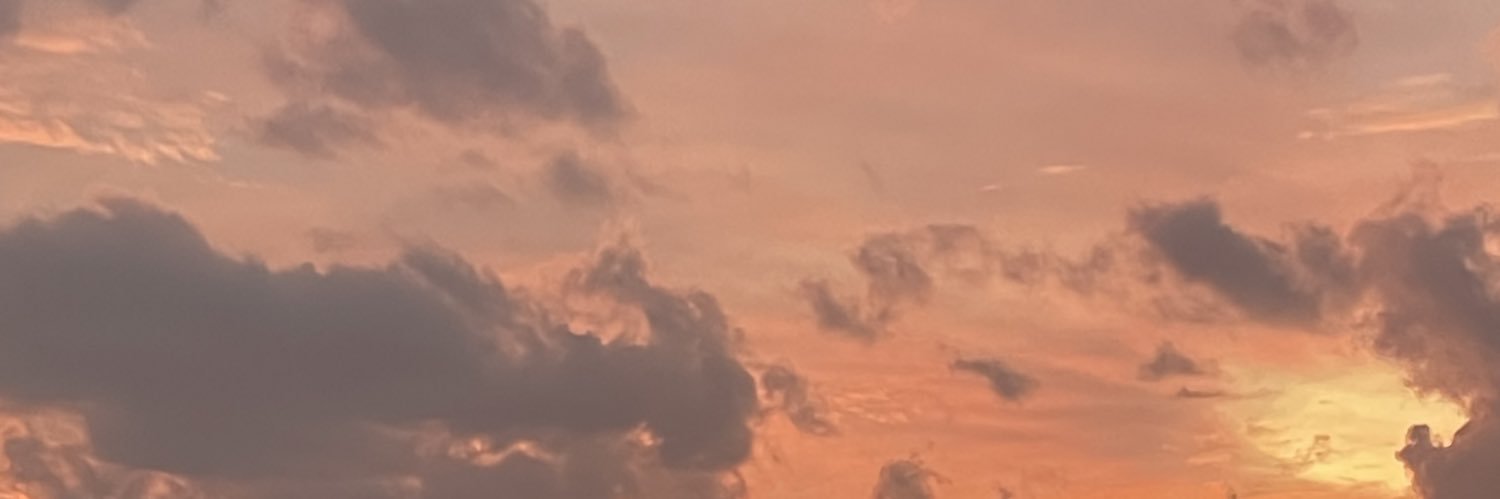 piltomysc's profile banner image